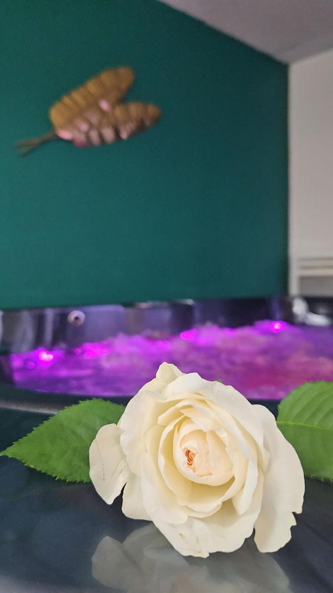 Suite Jacuzzi "Spa Privatif " Appartement Jacuzzi Тулуза Екстериор снимка