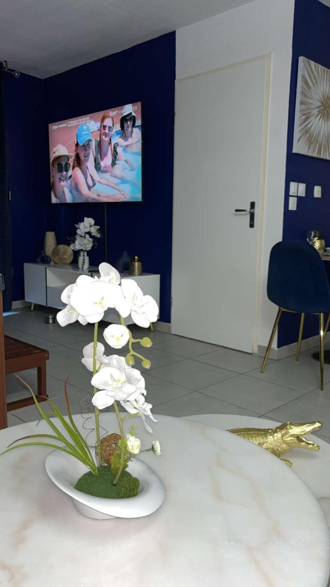 Suite Jacuzzi "Spa Privatif " Appartement Jacuzzi Тулуза Екстериор снимка